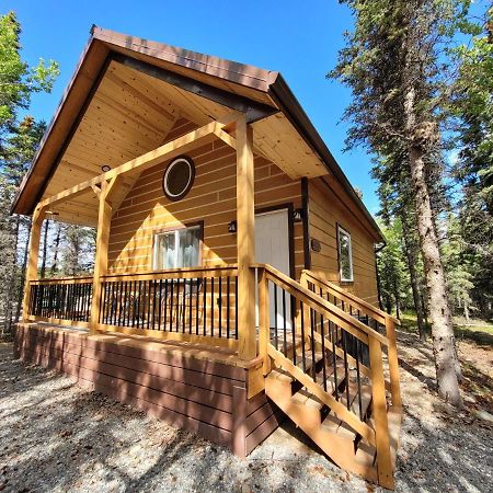 Denali Wild Stay - Redfox Cabin, Free Wifi, Private, Sleep 6 Healy Εξωτερικό φωτογραφία