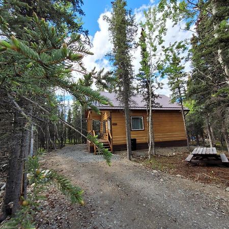 Denali Wild Stay - Redfox Cabin, Free Wifi, Private, Sleep 6 Healy Εξωτερικό φωτογραφία