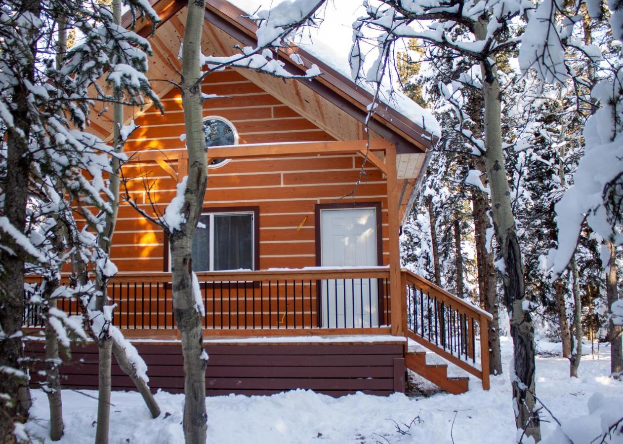 Denali Wild Stay - Redfox Cabin, Free Wifi, Private, Sleep 6 Healy Εξωτερικό φωτογραφία