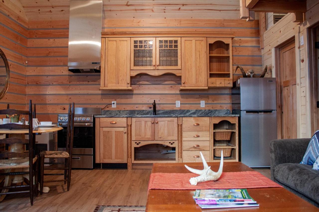 Denali Wild Stay - Redfox Cabin, Free Wifi, Private, Sleep 6 Healy Εξωτερικό φωτογραφία