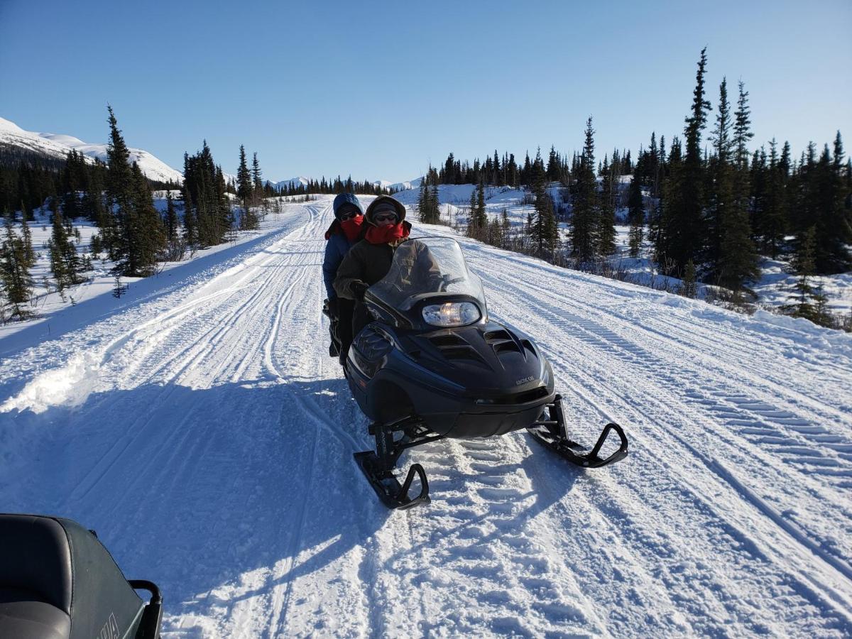 Denali Wild Stay - Redfox Cabin, Free Wifi, Private, Sleep 6 Healy Εξωτερικό φωτογραφία