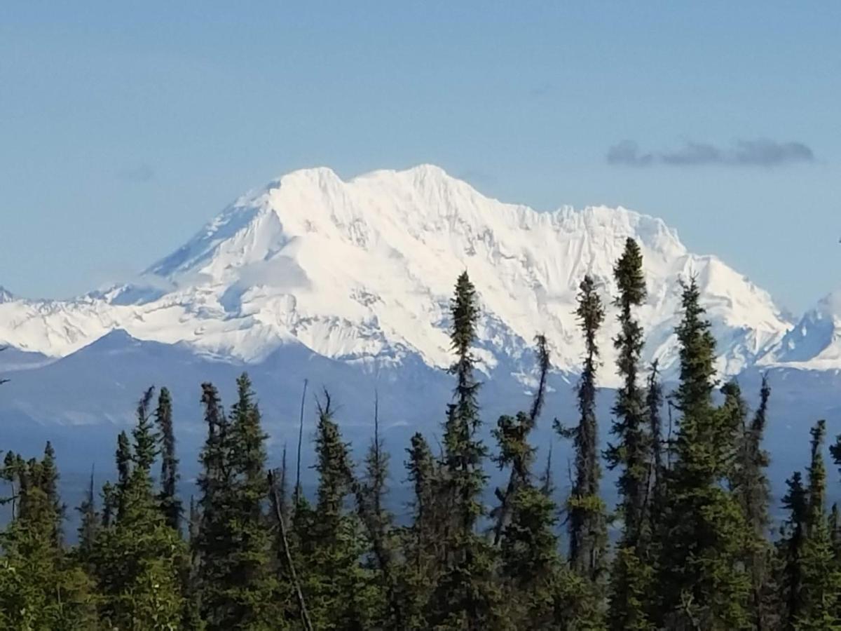 Denali Wild Stay - Redfox Cabin, Free Wifi, Private, Sleep 6 Healy Εξωτερικό φωτογραφία