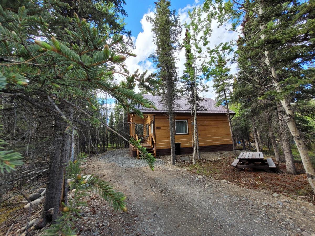 Denali Wild Stay - Redfox Cabin, Free Wifi, Private, Sleep 6 Healy Εξωτερικό φωτογραφία